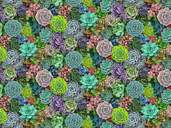 Landscape Medley - from Elizabeth Studios. This beautiful fabric is photo worthy. This Succulent fabric will add an eclectic element to any project! 