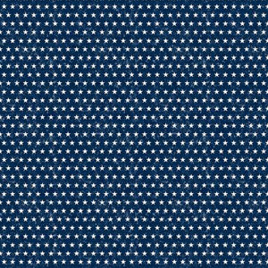 Liberty Lane by Stephanie Marrott Collection for Wilmington Prints.  Small white stars on a navy blue background.   100% Cotton, 44/5"