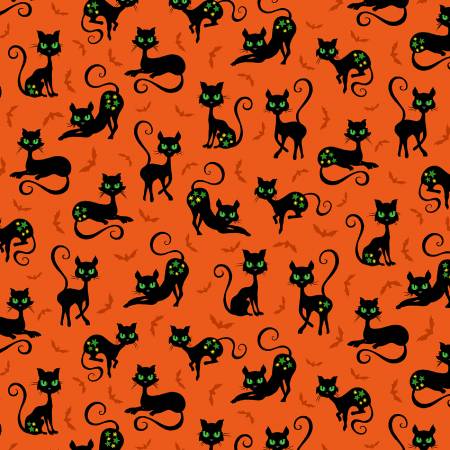 Orange Black Cat Crossing