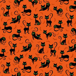 Orange Black Cat Crossing