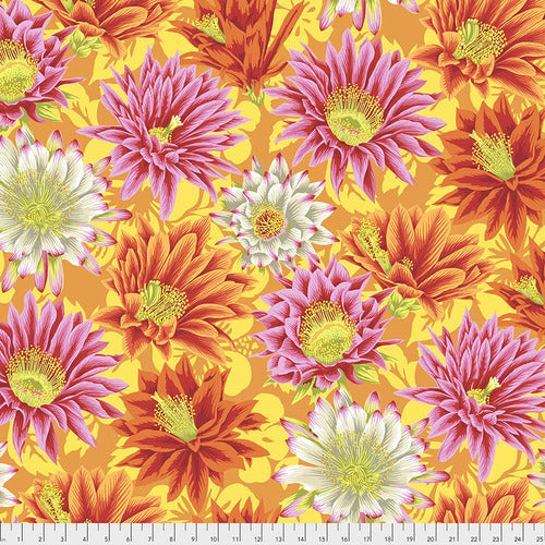Philip Jacobs for the Kaffe Fassett Collective.  100% Cotton, 44/5"