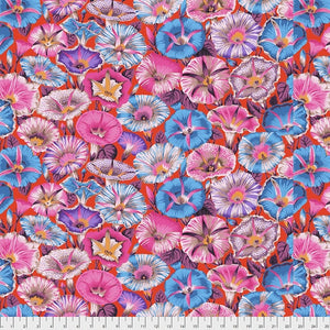 Beautiful Morning Glory in shades of pink and blue on a red background.  By Philip Jacobs of Kaffe Fassett Collective for Freespirit Fabrics.  100% Cotton, 44/5"