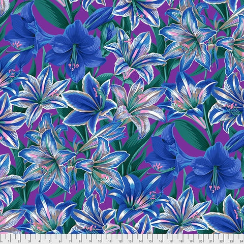Amaryllis in Blue, pink and white by Philip Jacobs for Kaffe Fassett Collective.  100% Cotton, 44/5"
