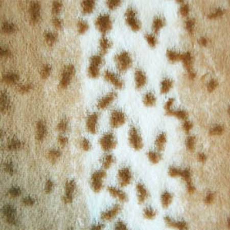 Soft Cuddle Animal Prints Collection, In Cuddle & Minky Fabric.   100% Polyester, 58/60in