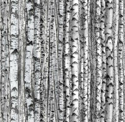 Landscape Medley - from Elizabeth Studios. This beautiful fabric is photo worthy. Add a rustic natural element to any project with this beautiful cotton. 