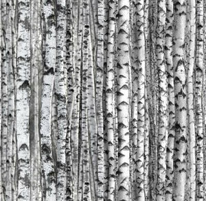 Landscape Medley - from Elizabeth Studios. This beautiful fabric is photo worthy. Add a rustic natural element to any project with this beautiful cotton. 