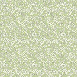 This fabric is from RJR and is full of little white circles that form tiny flowers over a light sage green background. Beautiful soft colors, and great alternative to a solid.